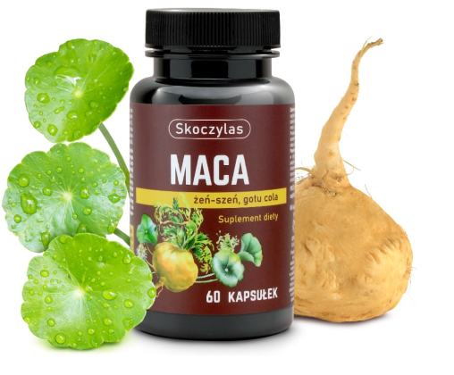 Skoczylas Maca + żeń szeń + Gotu cola - 60 Kapsułek