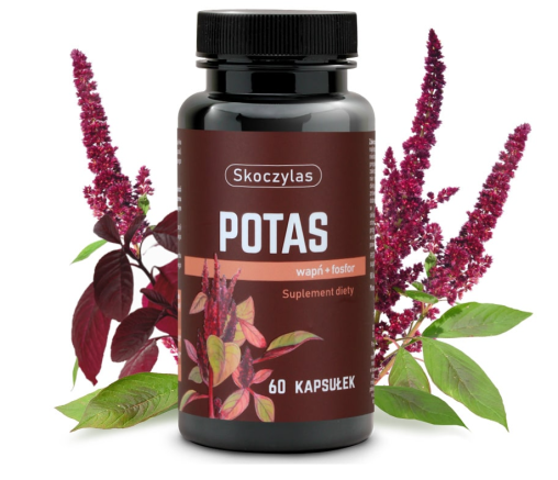 Skoczylas Potas + Wapń + Fosfor - 60 Kapsułek