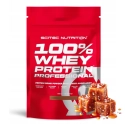 Scitec 100% Whey Protein Professional - 500g