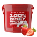 Scitec 100% Whey Protein Professional - 5000g
