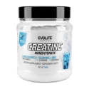 Evolite Creatine Monohydrate 500g