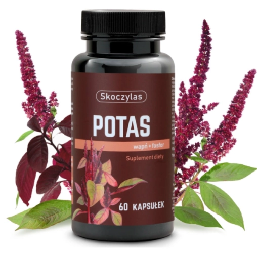 Skoczylas Potas + Wapń + Fosfor - 60 Kapsułek