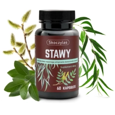 Skoczylas Stawy - 60 Kapsułek