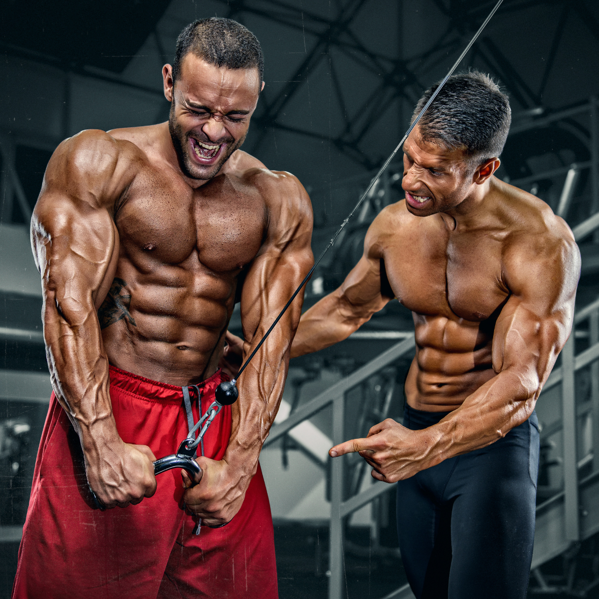 Ranking TOP 5 – boostery testosteronu 2026