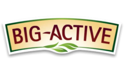 Big-Active